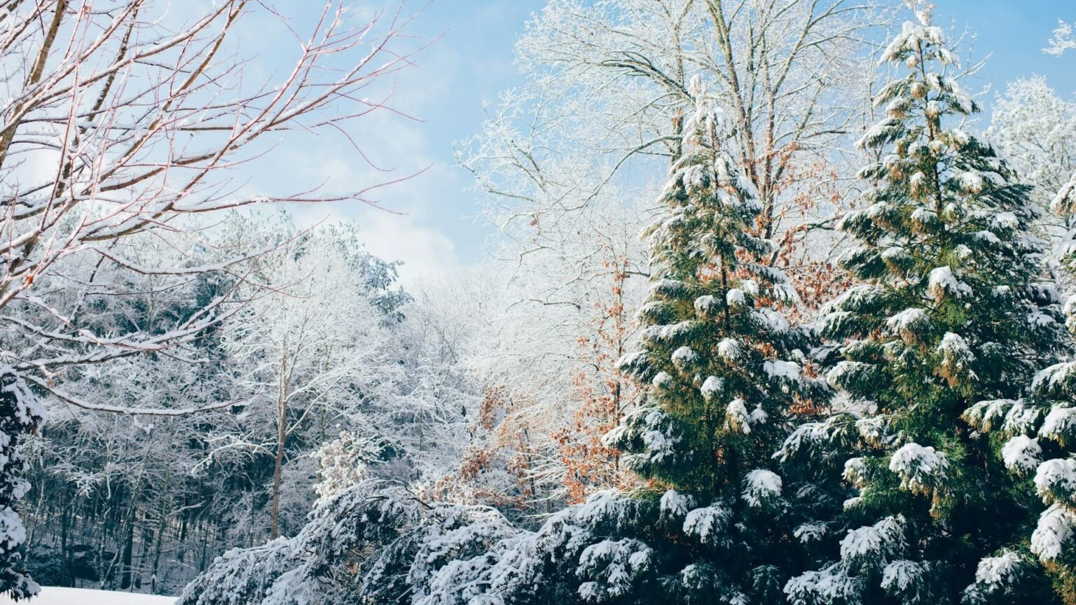 Hoe lang duurt de kerstperiode? | Hoe lang